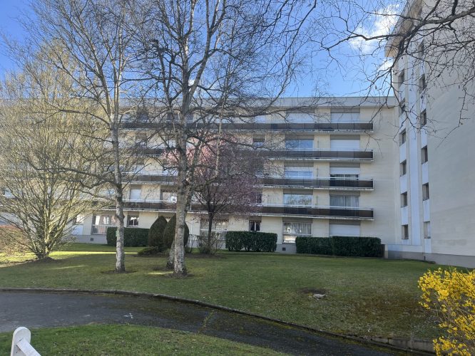 IMG_6622