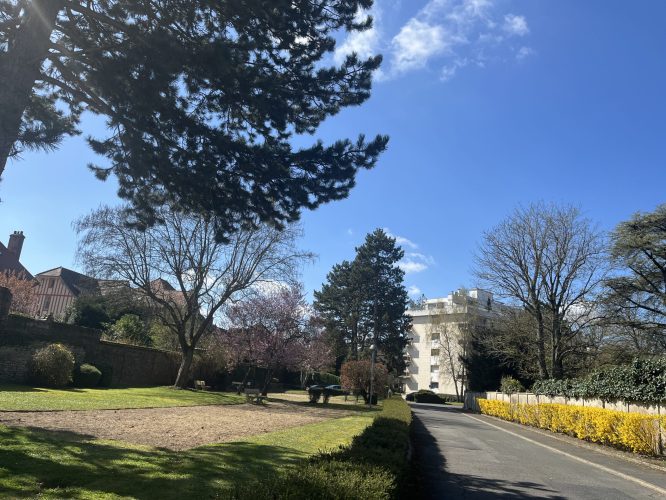Résidence Les Veneurs - Parc